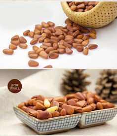 太極養(yǎng)生醫(yī)館產(chǎn)品全解析 泰興食品開口松子500g袋裝，品質(zhì)、價格與食用體驗一網(wǎng)打盡